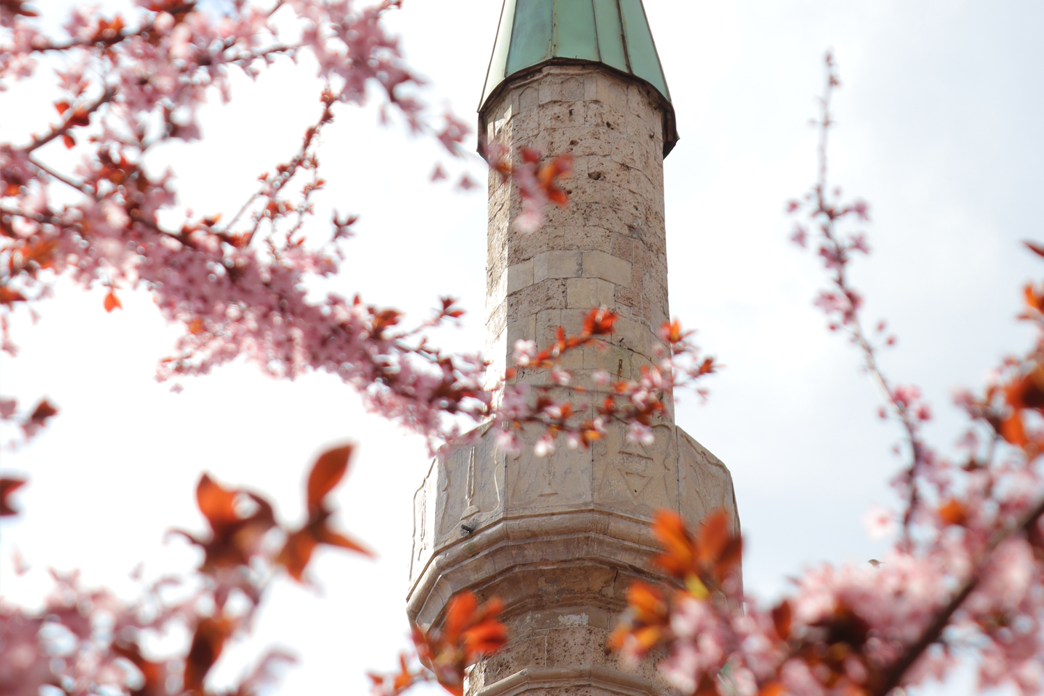 PROTOKOL ZA RAMAZANSKI BAJRAM
